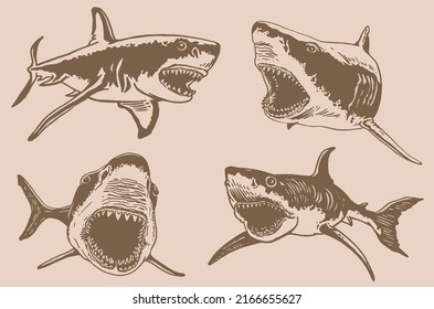 Graphical vintage set of sharks and jaws, sepia background,vector elements , great white shark