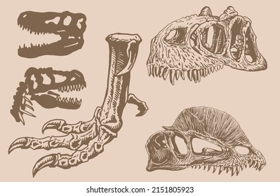 1,046 Dilophosaurus Images, Stock Photos & Vectors | Shutterstock