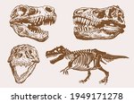 Graphical vintage set of skulls and skeleton of dinosaur,vector bone fossils,paleontology elements