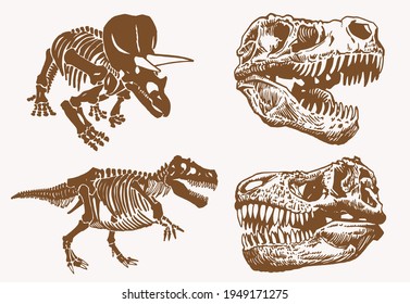 Graphical vintage set of skulls and skeleton of dinosaur,vector bone fossils,paleontology elements