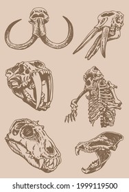 Graphical vintage set of skulls and skeleton of bear ,sepia background,vector elements