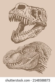 Graphical vintage set of skulls of tyrannosaurus , sepia background,paleontological elements 