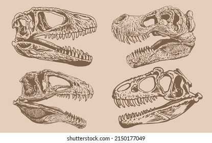 Graphical vintage set of skulls of tyrannosaurus, sepia background,paleontological elements 