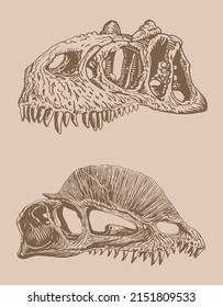 Graphical vintage set of skulls of tyrannosaurus, sepia  background,vector fossil element of museum
