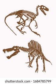 Graphical vintage set of spinosaurus skeletons, sepia background,paleontology,vector illustration