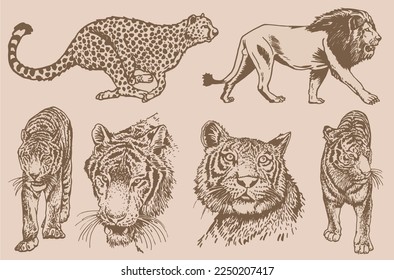 Graphical vintage  set of tigers and lions on sepia background,vector hand-drawn illustration for tattoo and printing