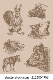 Graphical vintage set of wild animals ,sepia background,hog, wolf and squirrel and bear