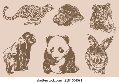 Graphical  vintage set of wild animals on sepia background,vector illustration