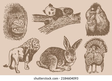 Graphical  vintage set of wild animals on sepia background,vector illustration