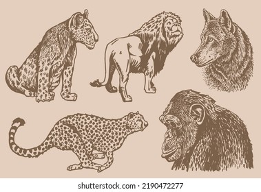 Graphical vintage set of wild animals on sepia backgroud,vector illustration. African animals 