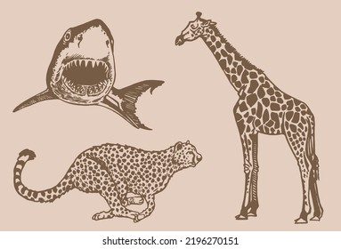 Graphical vintage  set of wild animals ,vector illustration. Hand-drawn elements of savanna life