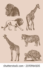 Graphical vintage set of wild animals,vector illustration. Hand-drawn elements of the wild