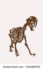 Graphical vintage skeleton of saber-toothed tiger ,silhouette,vector illustration, anthropology