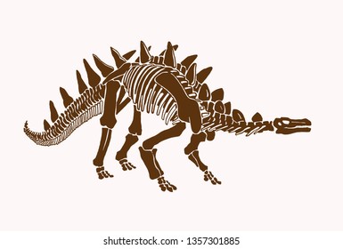 Graphical vintage skeleton of stegosaurus,retro background,vector illustration, tattoo,science