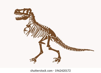  Graphical vintage skeleton of tyrannosaurus,vector illustration ,fossils