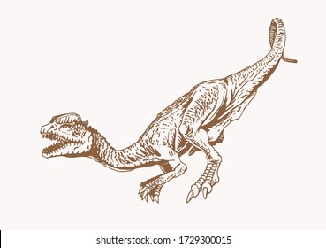 Graphical vintage sketch of    dilophosaurus , vector illustration