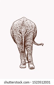 Graphical vintage sketch of elephant , vector illustration