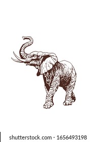 Graphical vintage sketch of elephant , vector sepia illustration