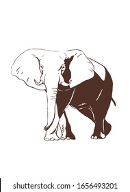 Graphical vintage sketch of elephant , vector sepia illustration
