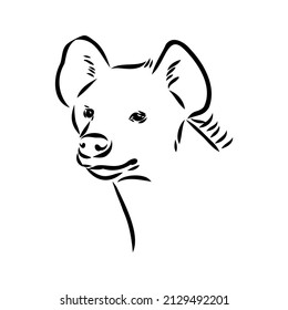 Esbozo gráfico vintage de hiena, ilustración vectorial