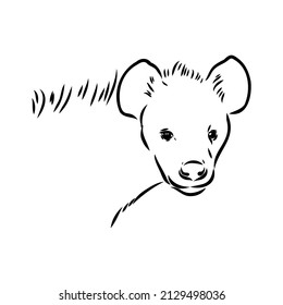 Graphical vintage sketch of hyena ,vector illustration