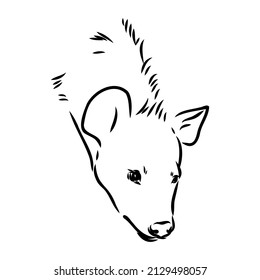 Graphical vintage sketch of hyena ,vector illustration