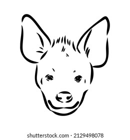 Graphical vintage sketch of hyena ,vector illustration