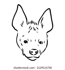 Graphical vintage sketch of hyena ,vector illustration