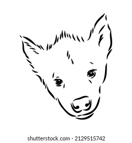 Graphical vintage sketch of hyena ,vector illustration