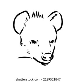 Graphical vintage sketch of hyena ,vector illustration