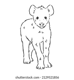 Graphical vintage sketch of hyena ,vector illustration