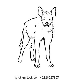 Graphical vintage sketch of hyena ,vector illustration