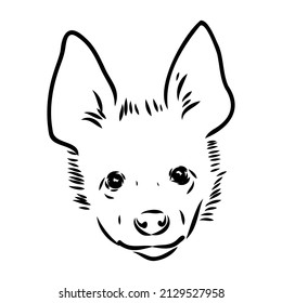 Graphical vintage sketch of hyena ,vector illustration