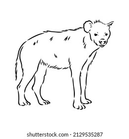 Graphical vintage sketch of hyena ,vector illustration