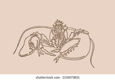 Graphical vintage sketch of lobster , sepia background,vector lined drawing
