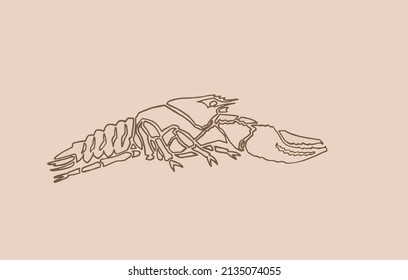 Graphical vintage sketch of lobster , sepia background,vector lined drawing