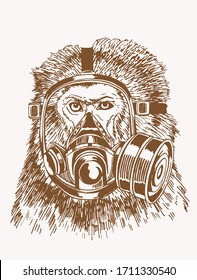 Graphical vintage sketch of monkey in gas mask , sepia background, vector illustration , typography  design