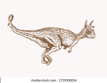 Graphical vintage sketch of  Pachycephalosaurus , vector illustration 