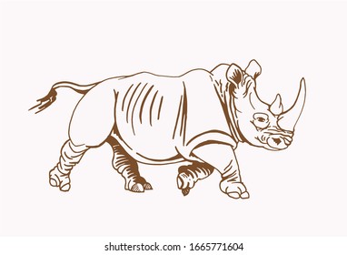 Graphical vintage sketch of rhino , vector sepia illustration