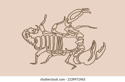 grafische Vintage-Skizze von Skorpion, Vektorgrafik