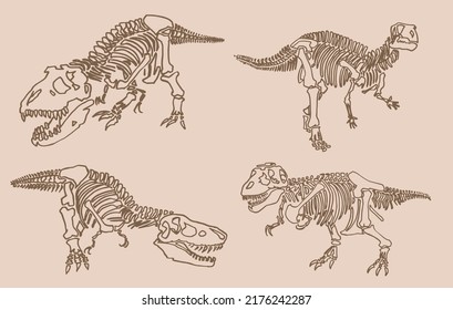 Graphical vintage sketch of skeletons of tyrannosaurus ,vector lined illustration. Sepia background 
