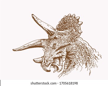 Graphical vintage sketch of triceratops, sepia vector illustration, dinosaur
