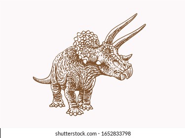 Graphical vintage sketch of  triceratops standing, sepia illustration. 