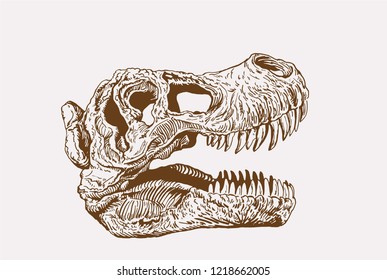 Graphical vintage sketch of tyrannosaurus  skull ,vector sketch, retro illustration