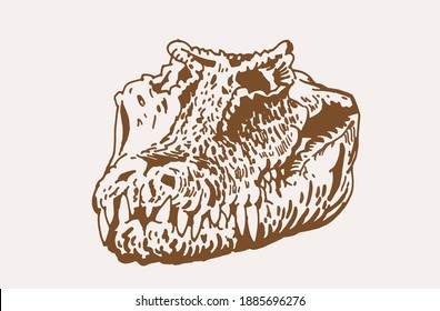 Graphical vintage skull of crocodile , sepia background
