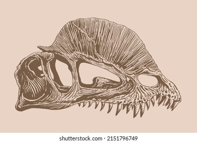 Graphical vintage skull of dilophosaurus , sepia background,vector fossil element of museum