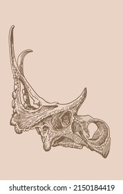 Graphical vintage skull of triceratops, sepia background,vector fossil element of museum