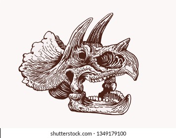 Graphical vintage skull of triceratops ,vector sketch for tattoo and printing,paleontology	