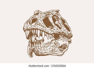 Graphical vintage skull of tyrannosaurus
,sepia background, vector illustration