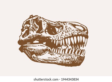 Grafischer Vintage-Schädel von Tyrannosaurus, sepia-Hintergrund, Vektorelement, anthropologische Fossilien